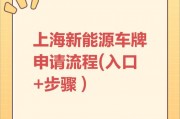 上海车牌申请全攻略：一视频教你轻松搞定车牌流程