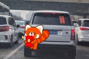 成都车牌88888”惊现街头，车主喜提人生巅峰！