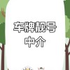 台州车牌照靓号惊现天价，抢购热潮席卷全城！”