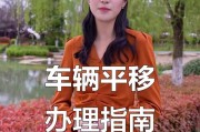 夫妻车牌平移奇遇：爱情路上新花样