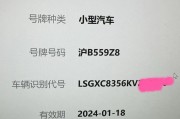 沪牌靓号，城市名片，一牌难求，心动不如行动