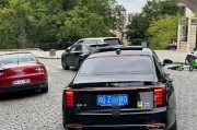 外国车迷眼中的中国车牌：独特魅力，1号车牌成热门焦点