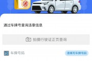 车牌号一查便知，轻松查询违章记录，告别罚款烦恼！