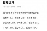 成都车牌靓号官网：车牌文化的魅力与传承
