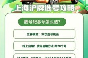 沪上车牌魅力：探寻上海靓号背后的故事