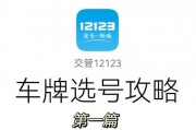 网上自选车牌号攻略：教你轻松拥有一款心仪车牌