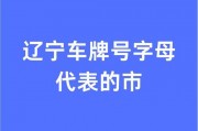 辽ASB250：神秘车牌背后的故事！