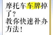 车牌照损坏？教你轻松补办攻略，让你行车无忧！