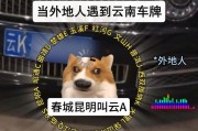 云之南，保山车牌靓号，寻觅有缘人
