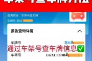 教你轻松查询公司车牌指标，掌握一手信息！