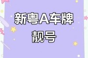 广州车牌靓号背后的隐形代价：靓号费之谜