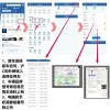 济南车牌靓号发放新攻略：靓号车牌申请流程