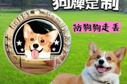 属狗车牌号怎么选？个性车牌新潮流
