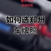 车牌号中的明星——探寻那些令人羡慕的靓号