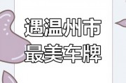 2017年4月温州车牌拍卖火爆，竞价突破10万元大关！