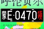 蒙Q：探寻这独特车牌背后的地域魅力