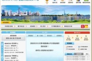 深圳车牌竞价付款攻略：轻松掌握支付流程