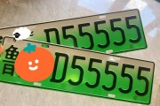 合肥混动车牌靓号福临门，绿色出行新风尚