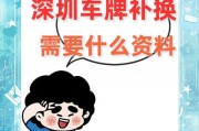 补办车牌全攻略：你需要准备的这些材料