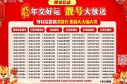 探寻沧州车牌魅力：靓号盛宴等你来抢