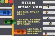车牌灯不亮，小心被罚！车主必看交通新规