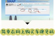 临汾车牌选号靓号网：热门靓号抢购攻略，助您轻松拥有一副好车牌！”