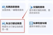 一秒掌握：车牌号查询，轻松获取车主信息