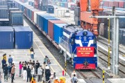 一带一路上的跨国友谊：外国车牌上的中国印记