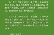 南通新能源车牌，点亮绿色出行新风尚