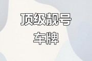 惠州车牌靓号预约，抢鲜体验数字美学新潮流