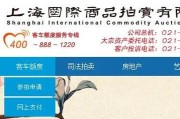 上海车牌标书：稀缺资源下的争夺战