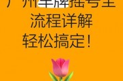 轻松摇号，一网打尽：教你如何网上轻松摇车牌号码