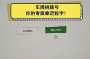 车牌号数字游戏：网络平台的靓号风云