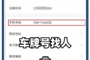 柳州电动车牌最新查询攻略：轻松掌握车牌信息