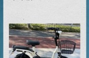电动摩托车车牌查询攻略：轻松掌握车牌信息
