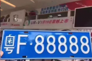 宁波街头现豹子车牌，靓号车牌引热议