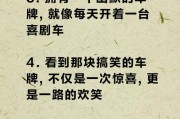 车牌号暗藏玄机，热门段子车牌号网址背后的趣味故事