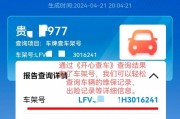 一键查询，车牌号占用情况轻松掌握！