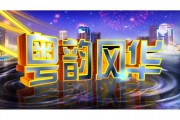 粤韵飞扬：广东车牌背后的经济活力与地域特色