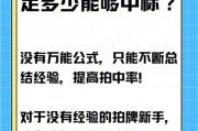 沪牌靓号竞拍风云：车牌背后的故事