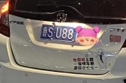 山东淄博车牌靓号226：一牌难求的吉祥物”惊现街头！