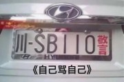 车牌上的内涵段子，车主们的幽默人生