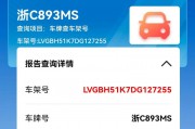 轻松掌握：教你如何快速查询车牌号码