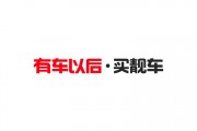 新野车牌靓号抢购热潮，错过不再！