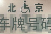 全国残疾人专用车牌正式启用，助力残疾人出行无障碍