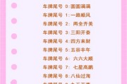 吉利车牌数字组合引发热潮，车主们纷纷争相购买！