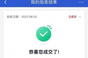 上海车牌拍卖，智能软件助力轻松中标
