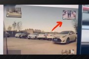特斯拉临时车牌引发热议：新型停车神器还是安全隐患？