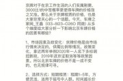 北京电动车牌租赁价格大，热门车型牌照仅需XXX元！