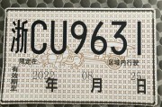 临时车牌收费大：你了解其中的门道吗？